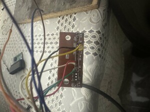 IMG_2818.jpeg