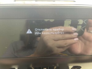 IMG_3762.jpeg