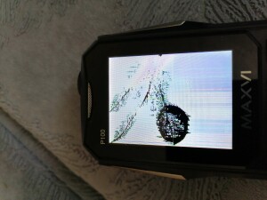 IMG_20240315_154359_BURST001_COVER.jpg