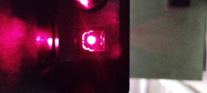 IMG_20240328_075137.jpg