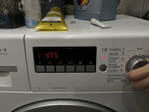 IMG_3488.jpeg