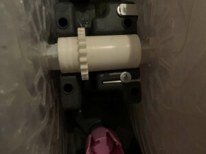 IMG_4306.jpeg