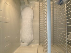 IMG_7707.jpeg