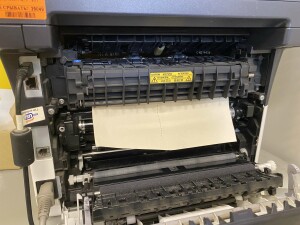 IMG_9171.jpeg