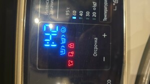 IMG-20240815-WA0018.jpeg