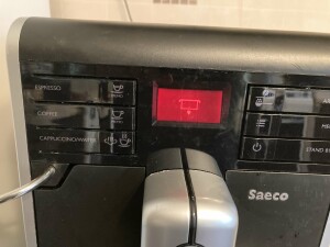 IMG_2432.jpeg