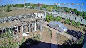 93a41edb9aa15fe9jnya_240918095839 (1).jpg
