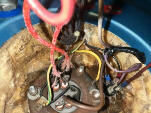 IMG_9030.jpeg