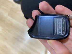 IMG_3804.jpeg
