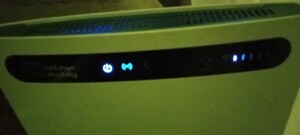 IMG_20241205_071744.jpg