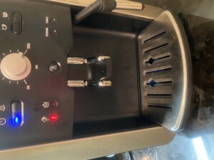 IMG_2437.jpeg