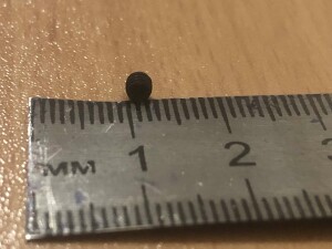 IMG_1198.jpeg