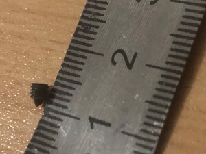 IMG_1197.jpeg