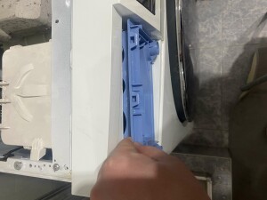 IMG_3545.jpeg