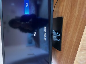 IMG_4187.jpeg
