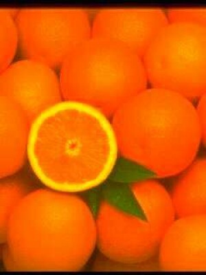 Orange-37 (1).jpg