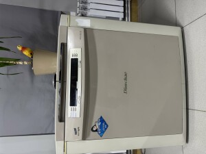 IMG_7636.jpeg