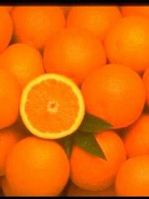 Orange-37 (1).jpg