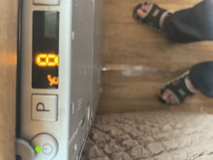 IMG_3685.jpeg