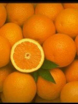Orange-37 (1).jpg