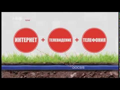 Видео превью