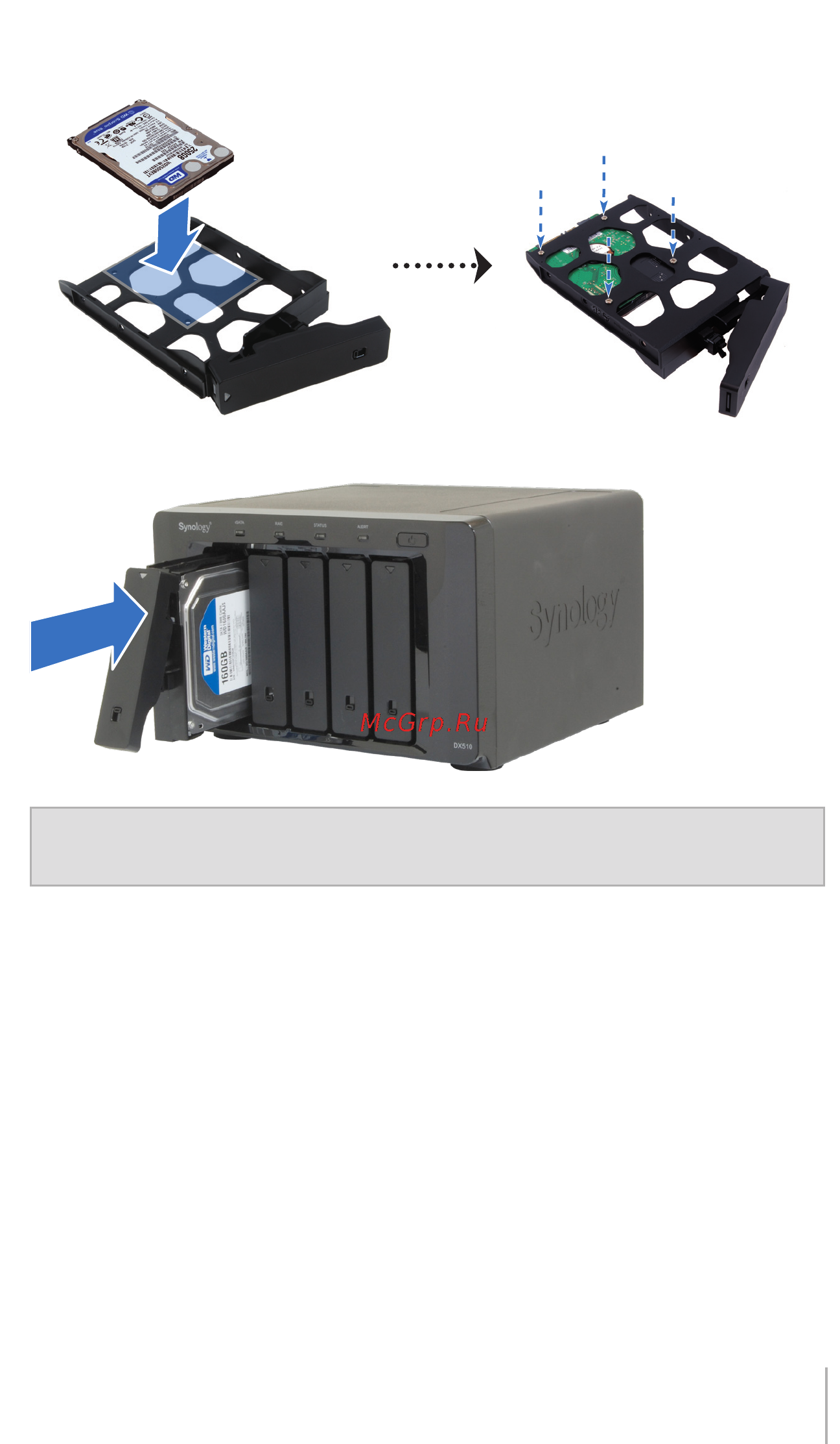 Synology DX510 Инструкция по эксплуатации онлайн [13/20] 300