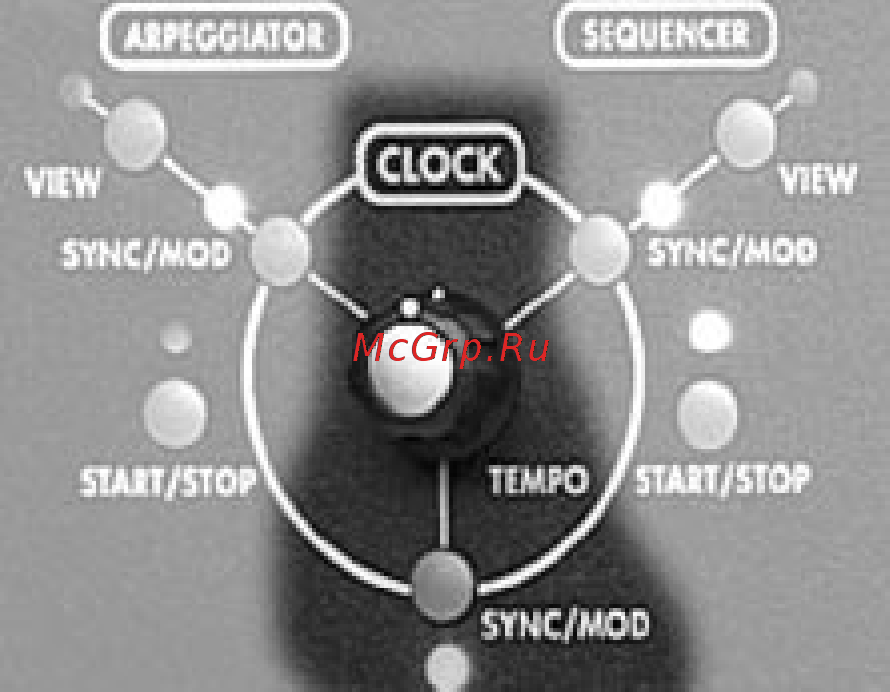Alesis ANDROMEDA [69/274] Ñåêöèÿ clock çàäàþùèé ãåíåðàòîð