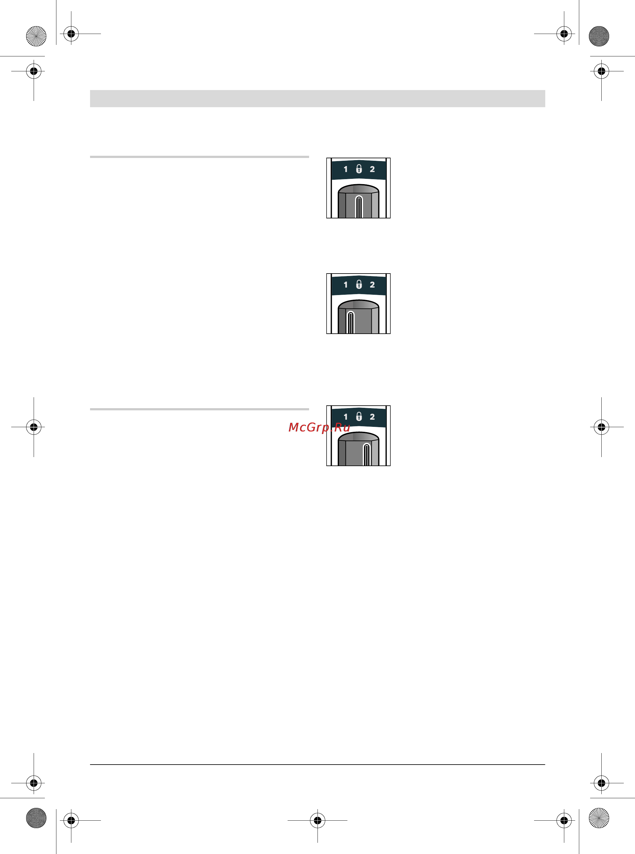 Bosch GSA 36 V-LI 0.601.645.R00 Инструкция по эксплуатации онлайн [255/289] 464