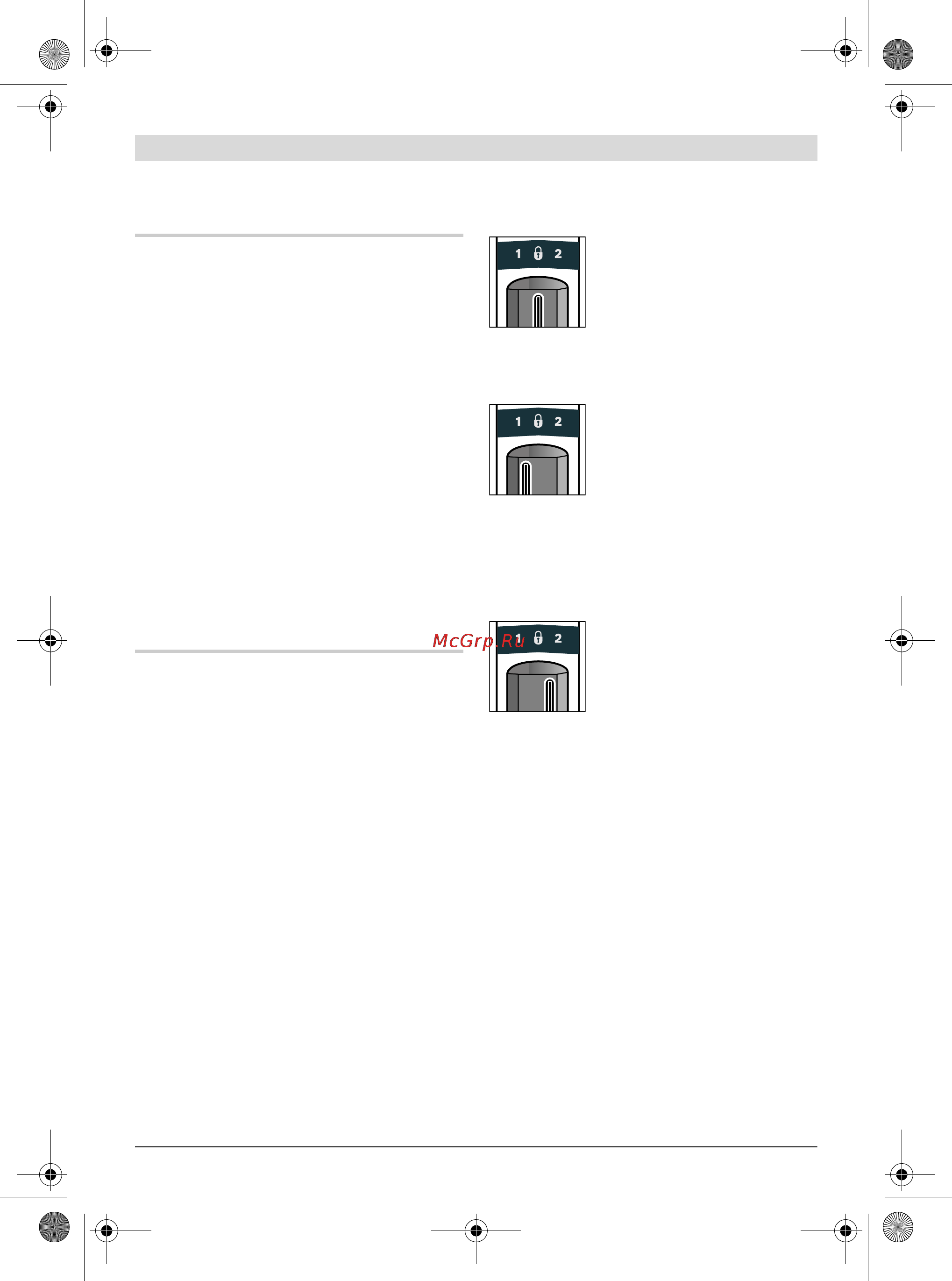 Bosch GSA 36 V-LI 0.601.645.R00 Инструкция по эксплуатации онлайн [45/289] 464