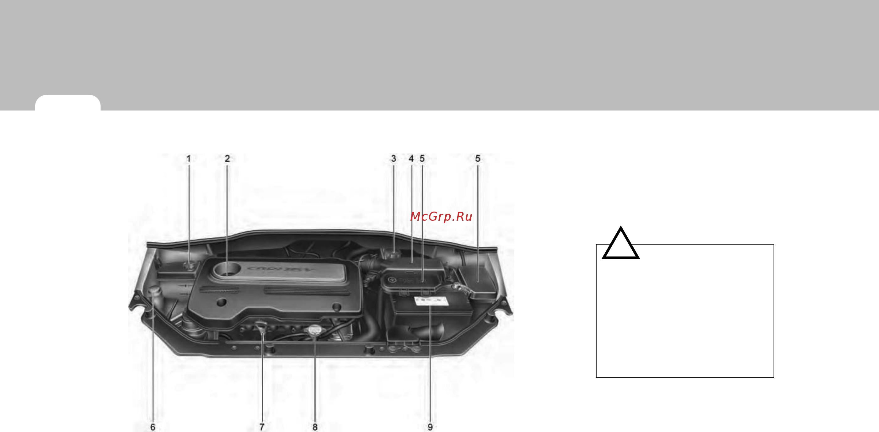 Hyundai Getz (2008) [222/285] 1 дизельный