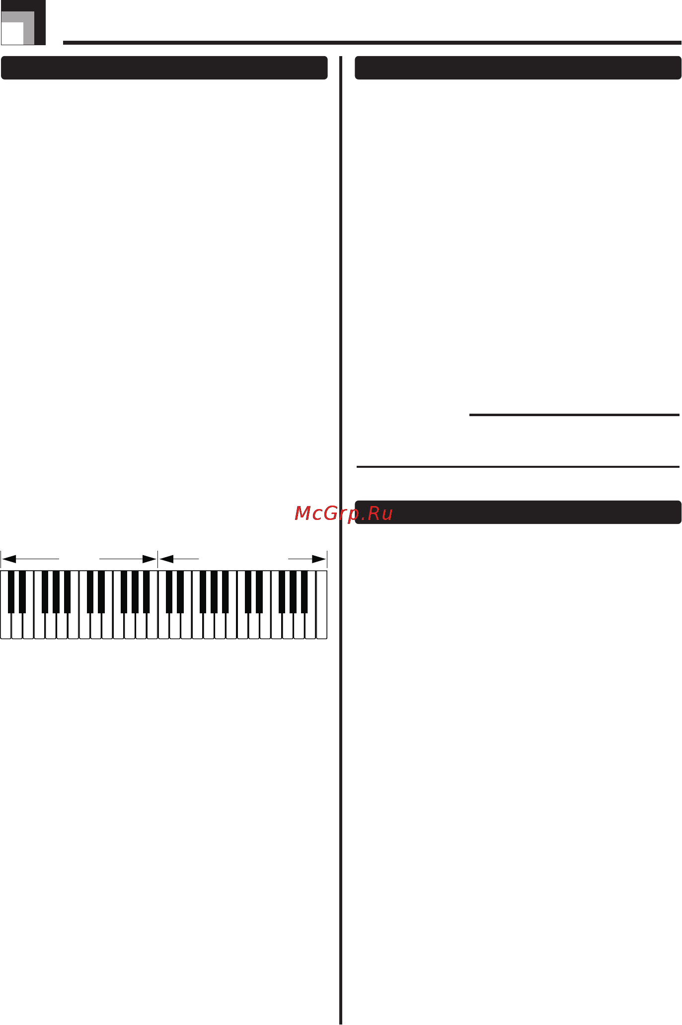 Casio CTK-230 [20/48] Полифония