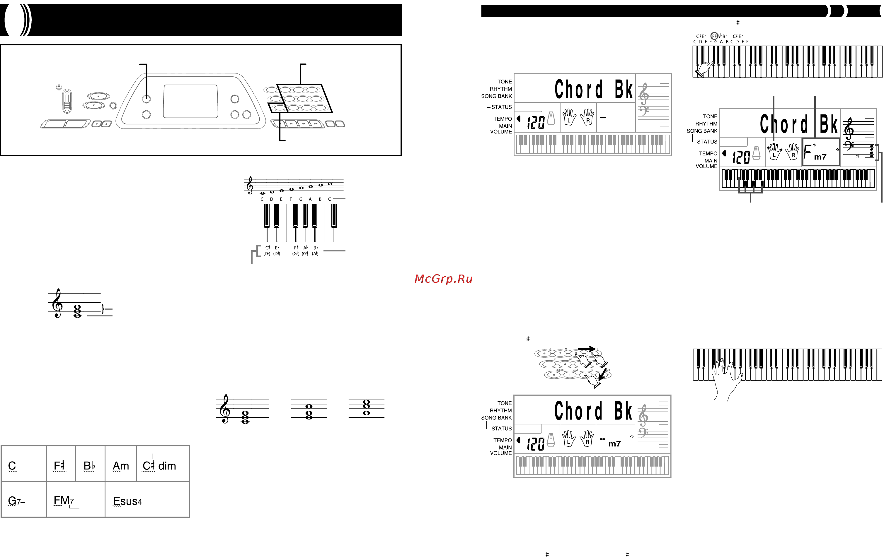 Casio CTK-481 [15/24] Chord bk