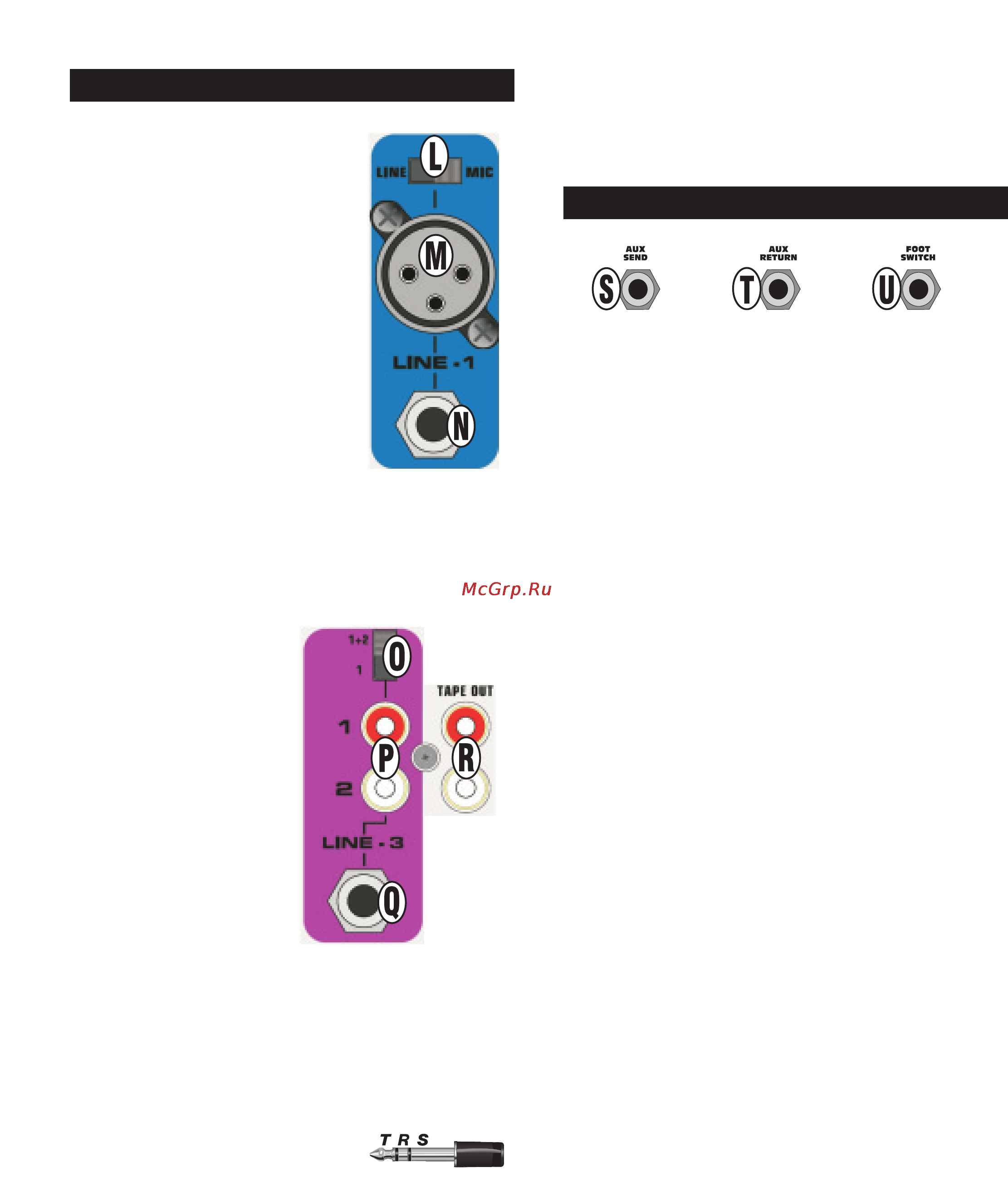Fender PASSPORT P-80 [20/51] Entrees mic line