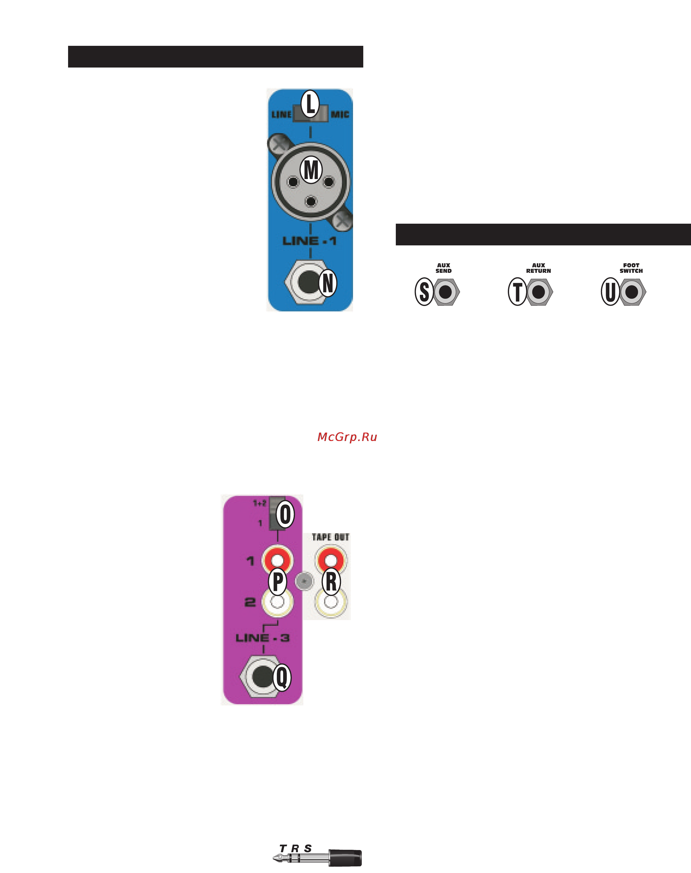 Fender PASSPORT P-80 [41/51] Entradas mic line