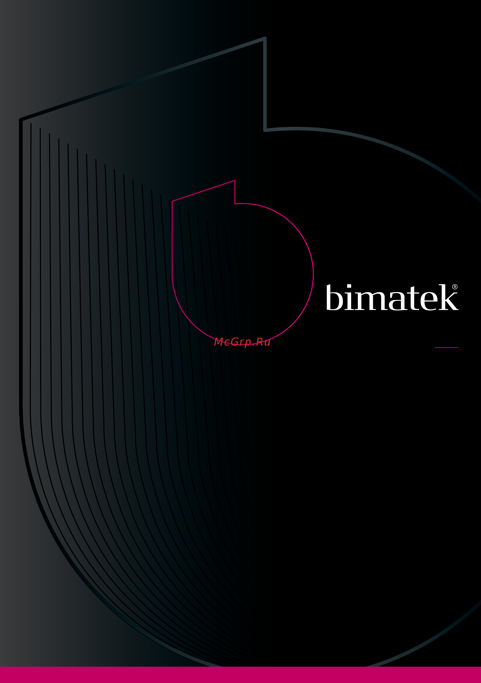Bimatek SF301 Инструкция по эксплуатации онлайн