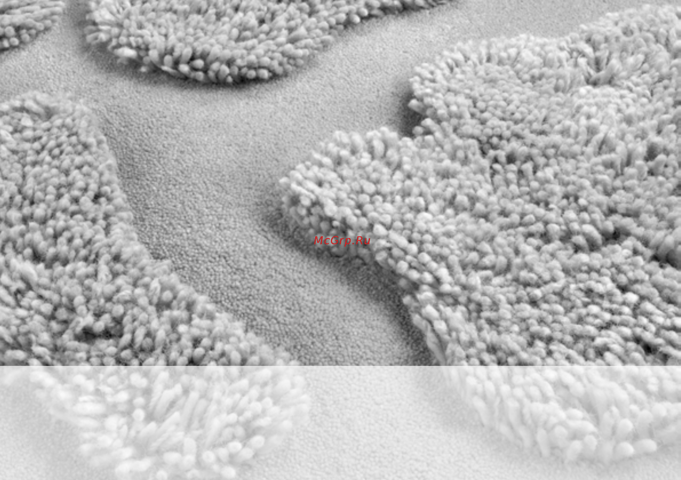 Bork ACS AWB10014SI [28/44] Эксплуатация