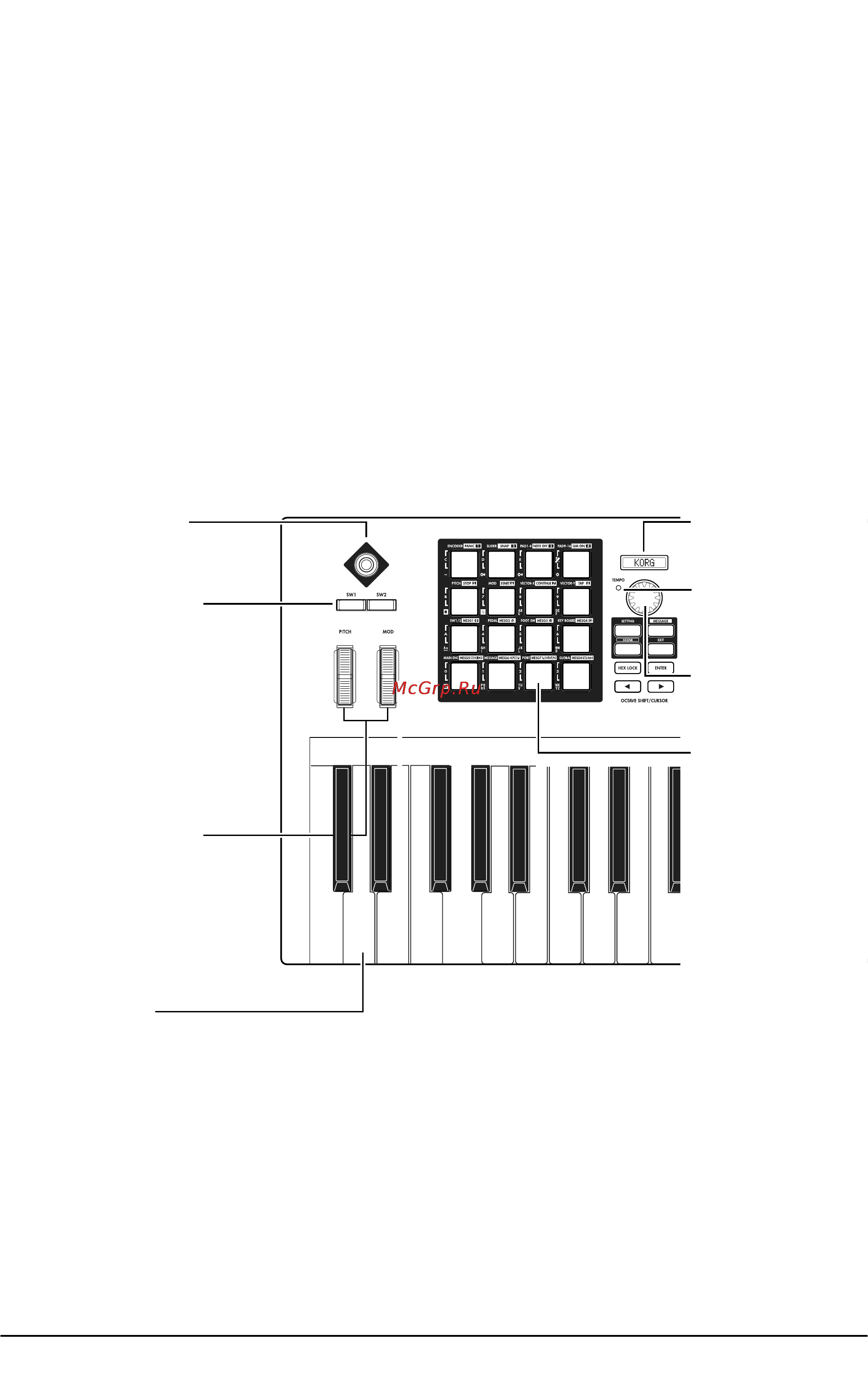 Korg KONTROL49 [7/54] Общий вид устройства