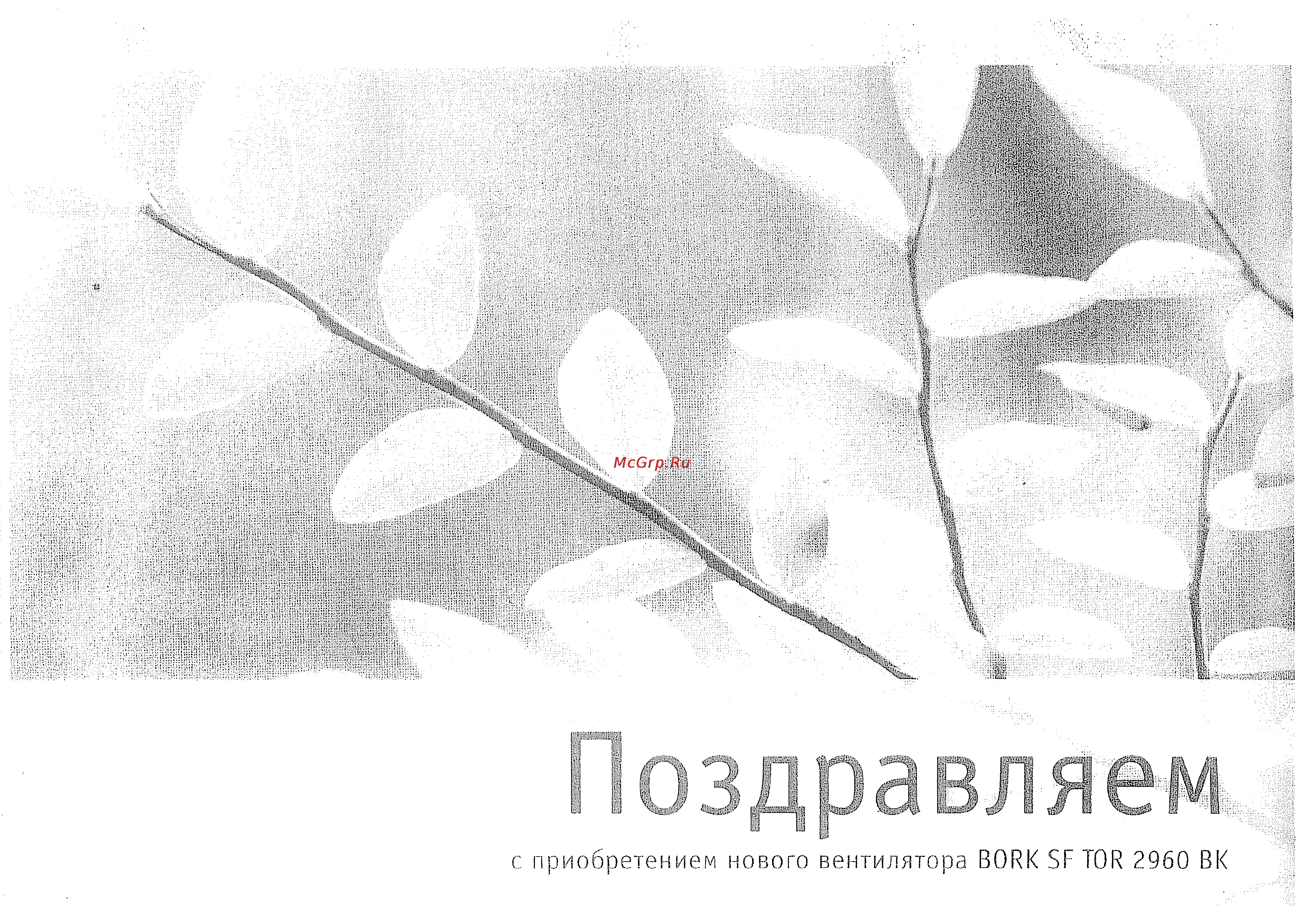 Bork SF TOR 2960 BK Инструкция по эксплуатации онлайн