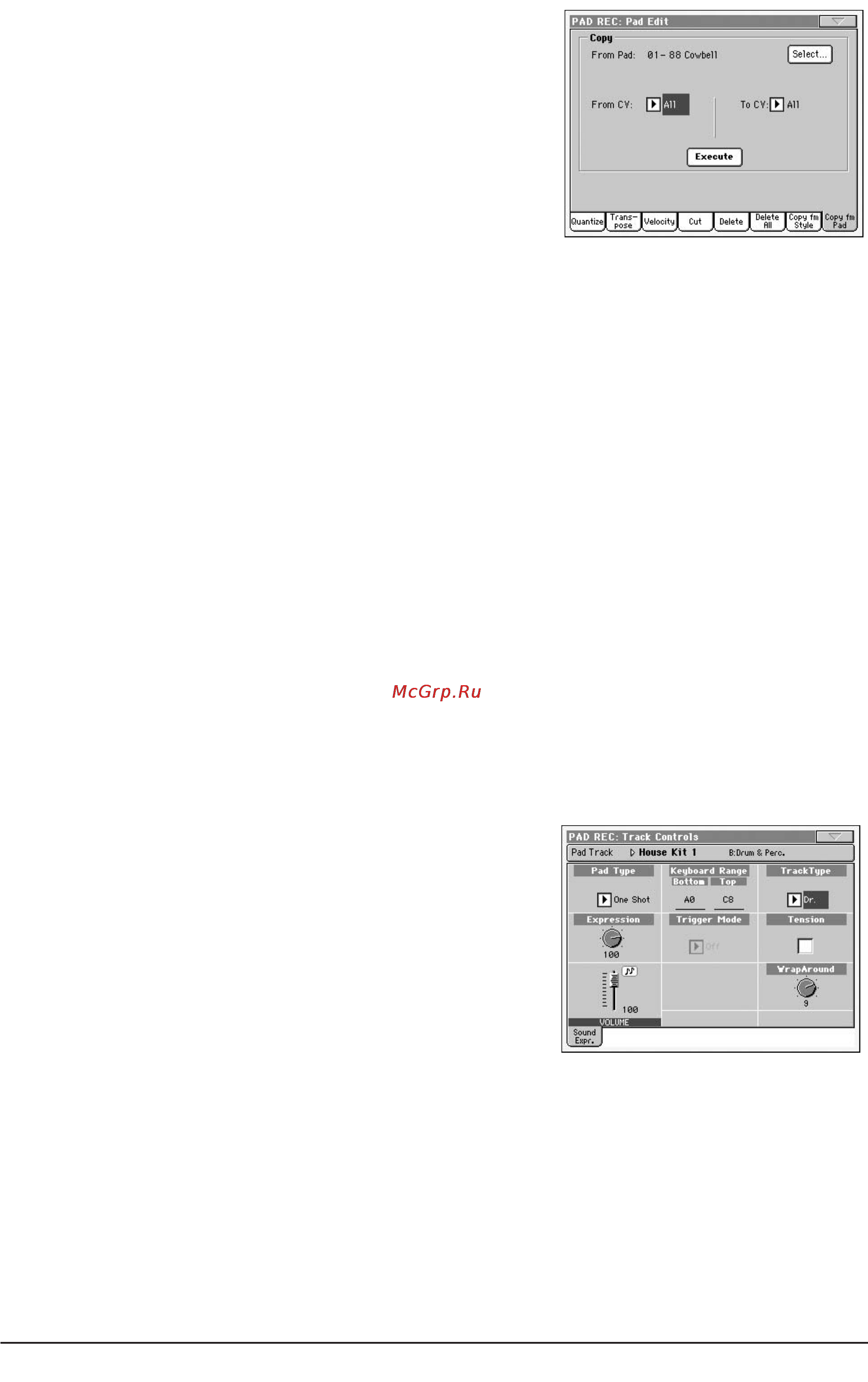 Korg PA800 [151/336] Pad edit copy from pad