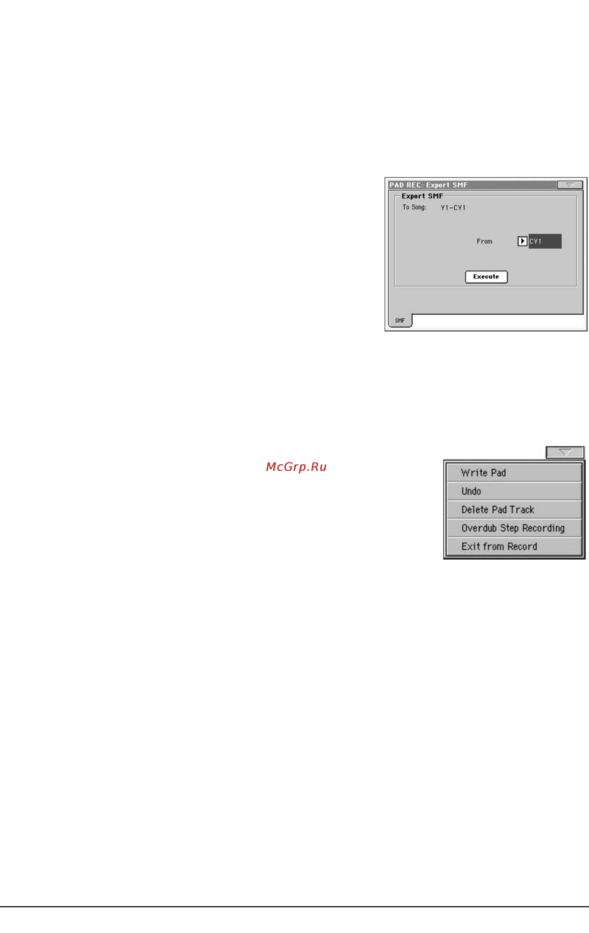 Korg PA800 [154/336] Export smf