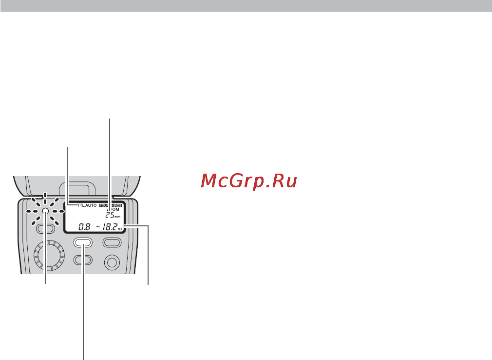Olympus FL-36R [9/48] Съемка