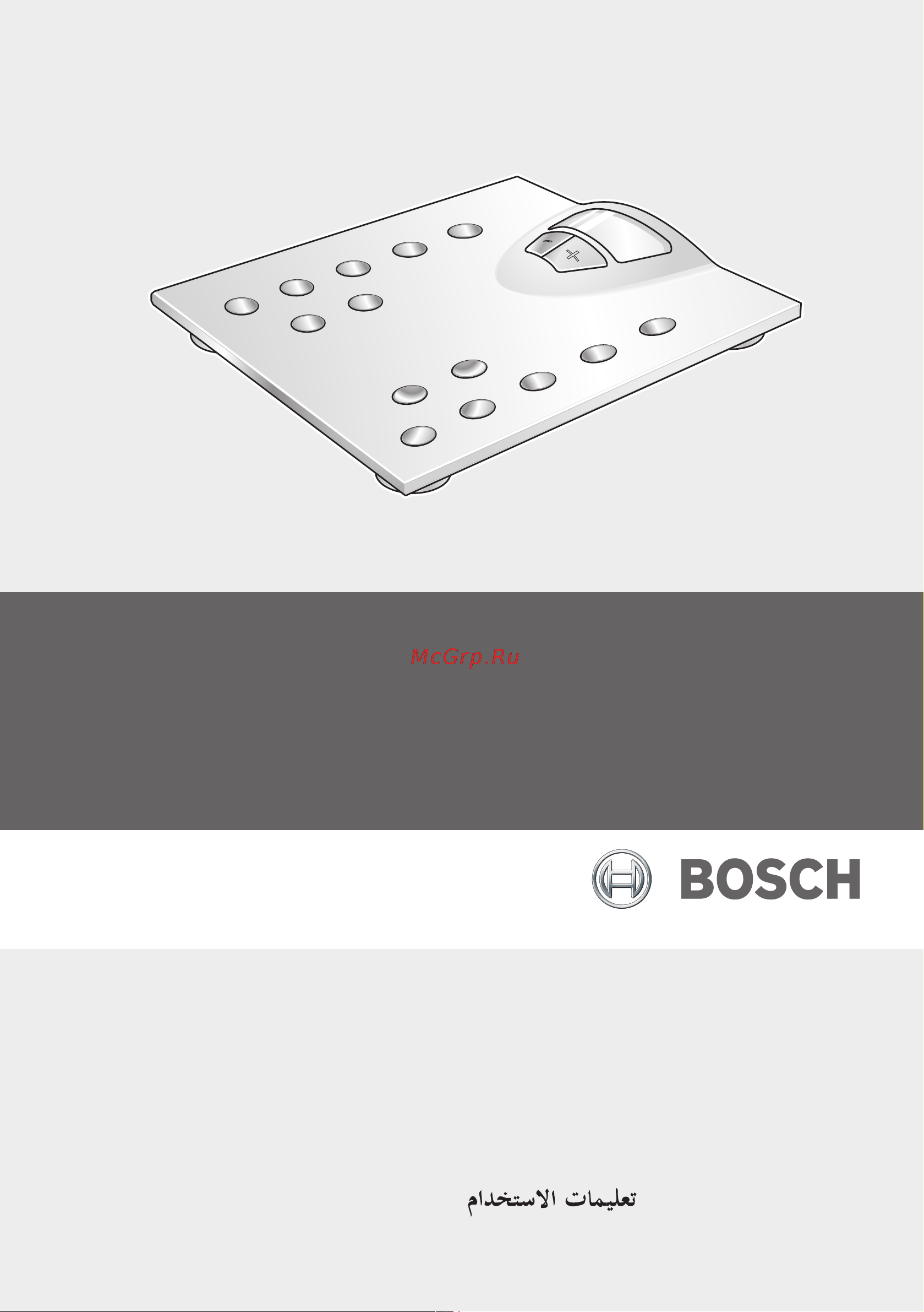 Bosch PPW 2250 Silver Инструкция по эксплуатации онлайн