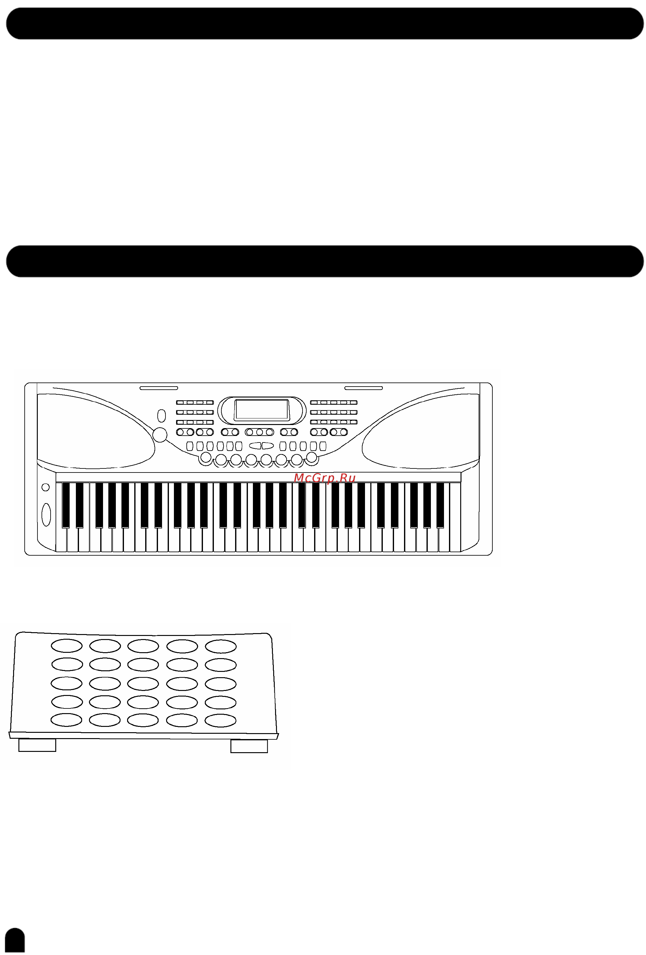 Medeli MD 100 [2/39] Www musicroyal ru