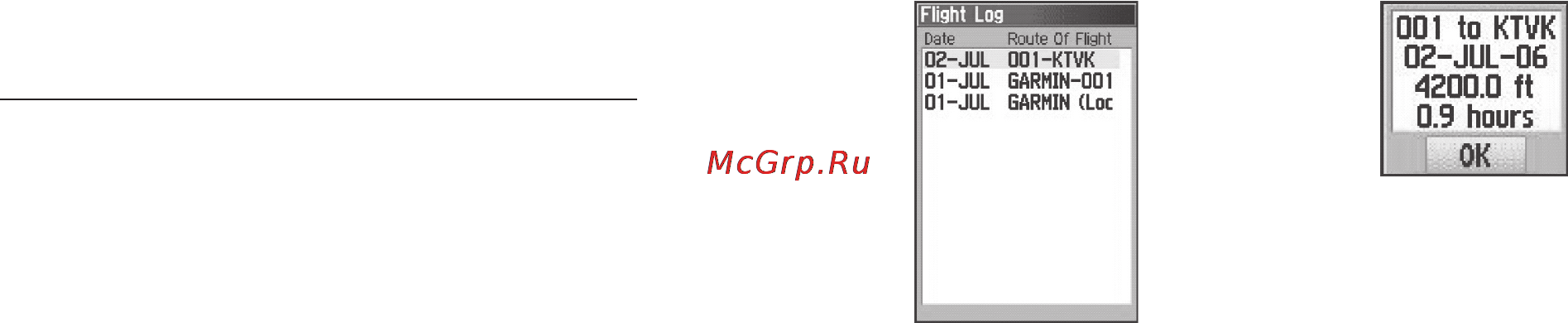 Garmin GPSMAP 96C [77/120] Опции меню страницы списка полетов