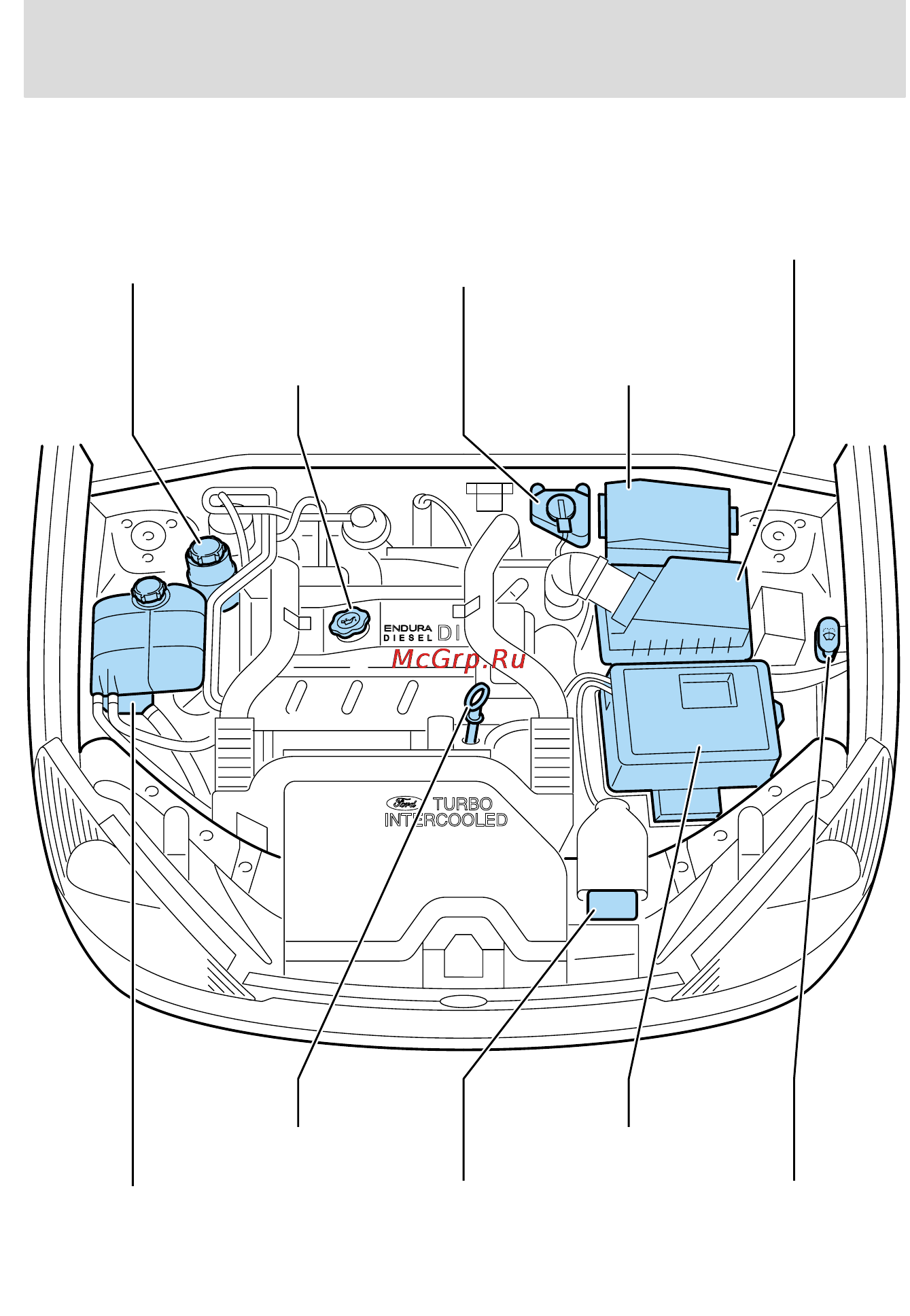 Ford Focus I (2003) [216/271] Профилактика и уход