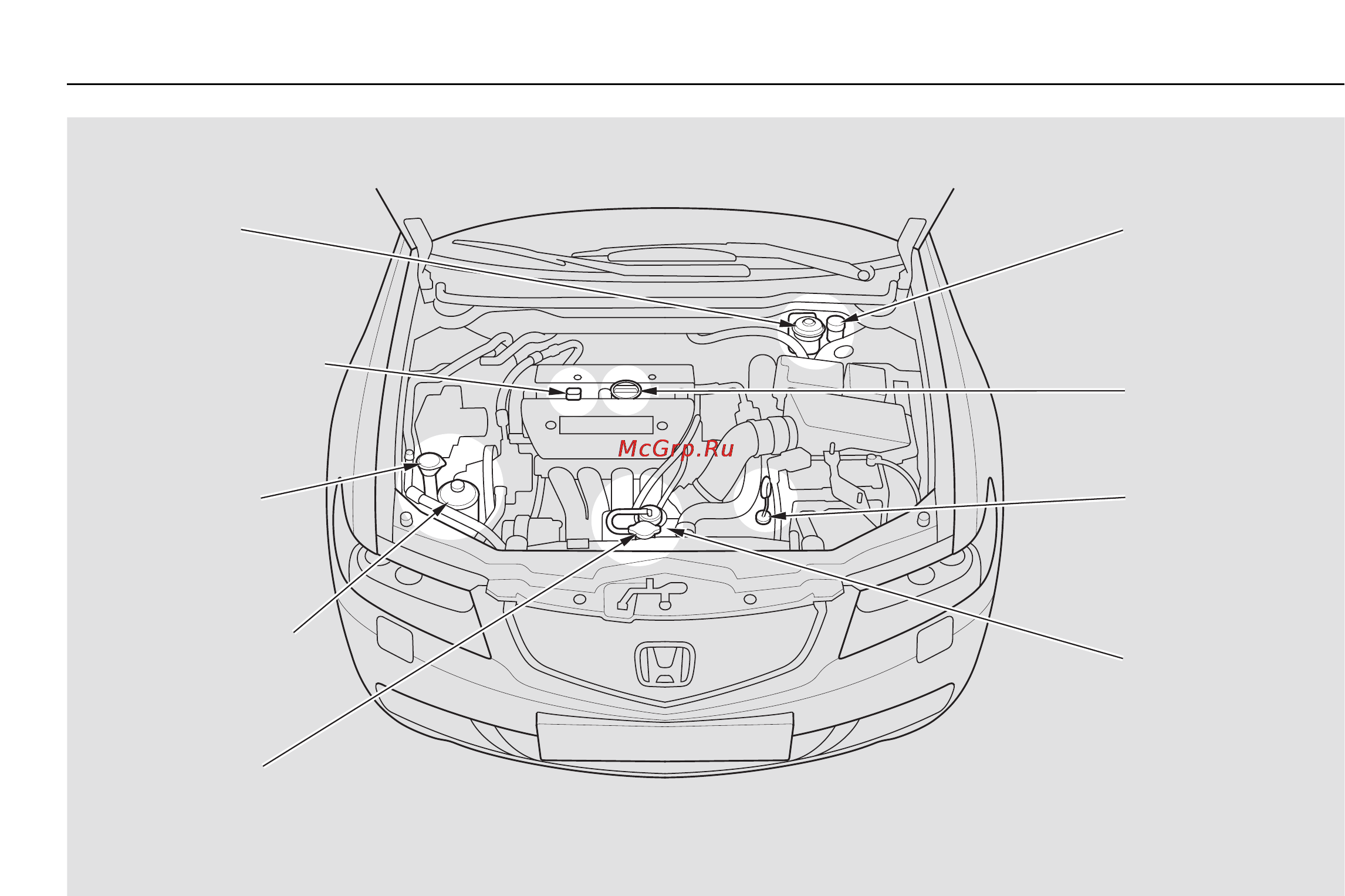 Honda Accord VII [370/509] Расположение заправочных горловин и контрольных щупов