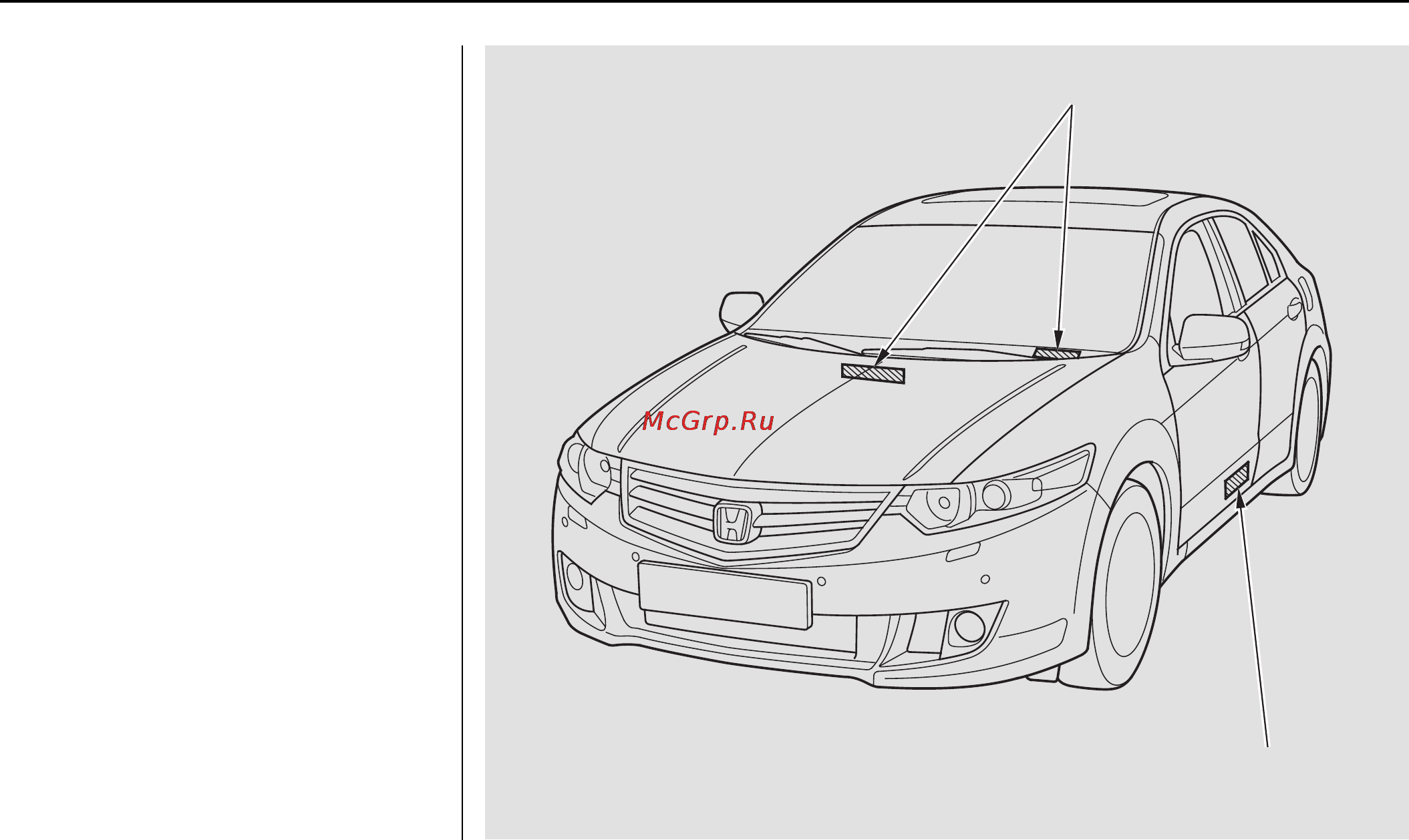Honda Accord VIII [423/436] Идентификационные номера