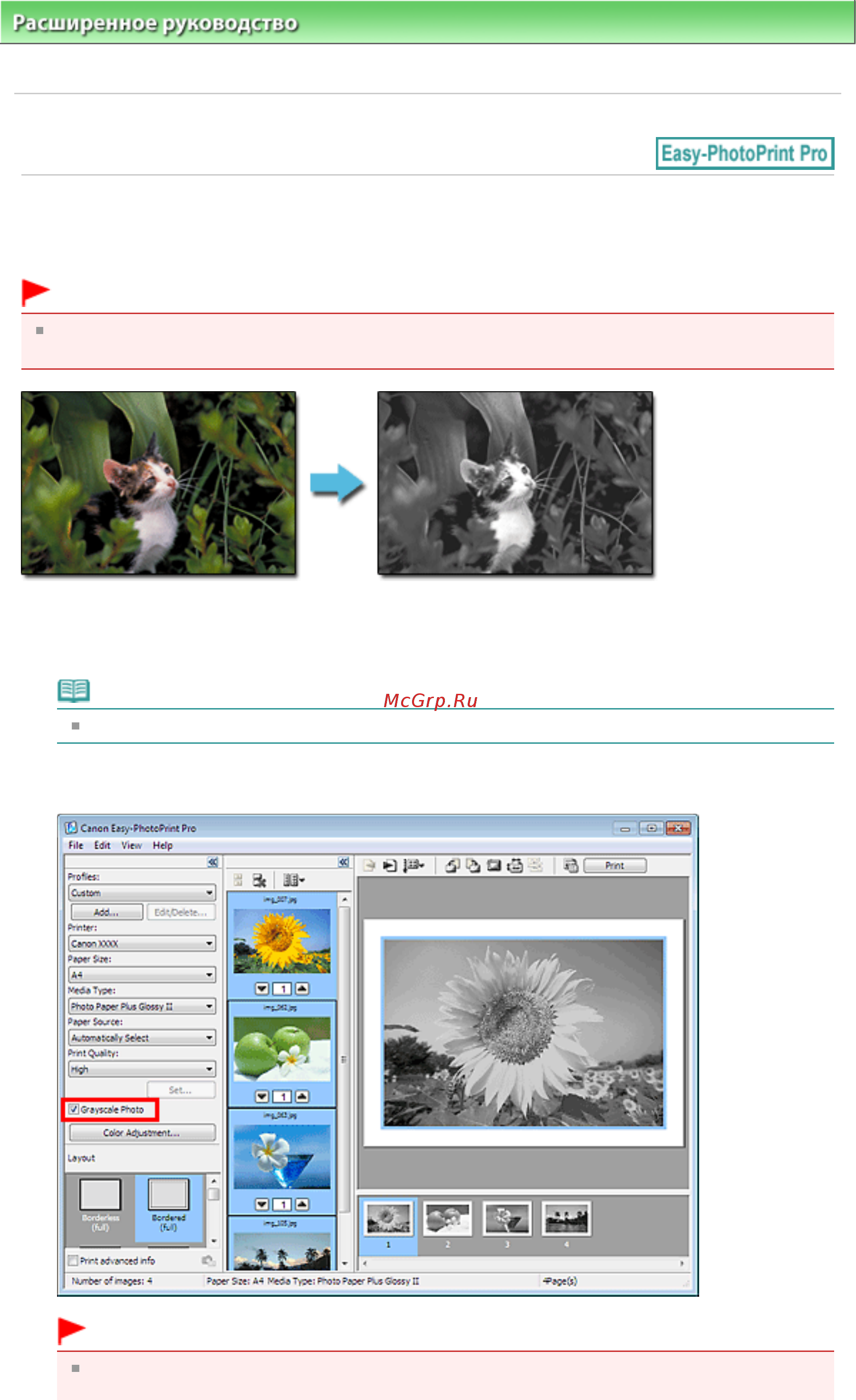 Canon Pixma MG6140 [340/1130] Печать фотографий в оттенках серого