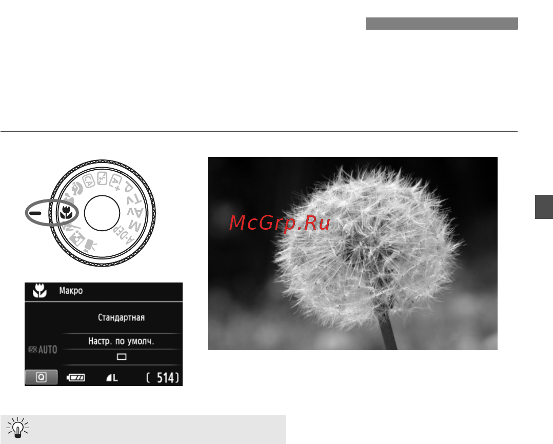 Canon EOS 600D [61/328] Съемка крупным планом