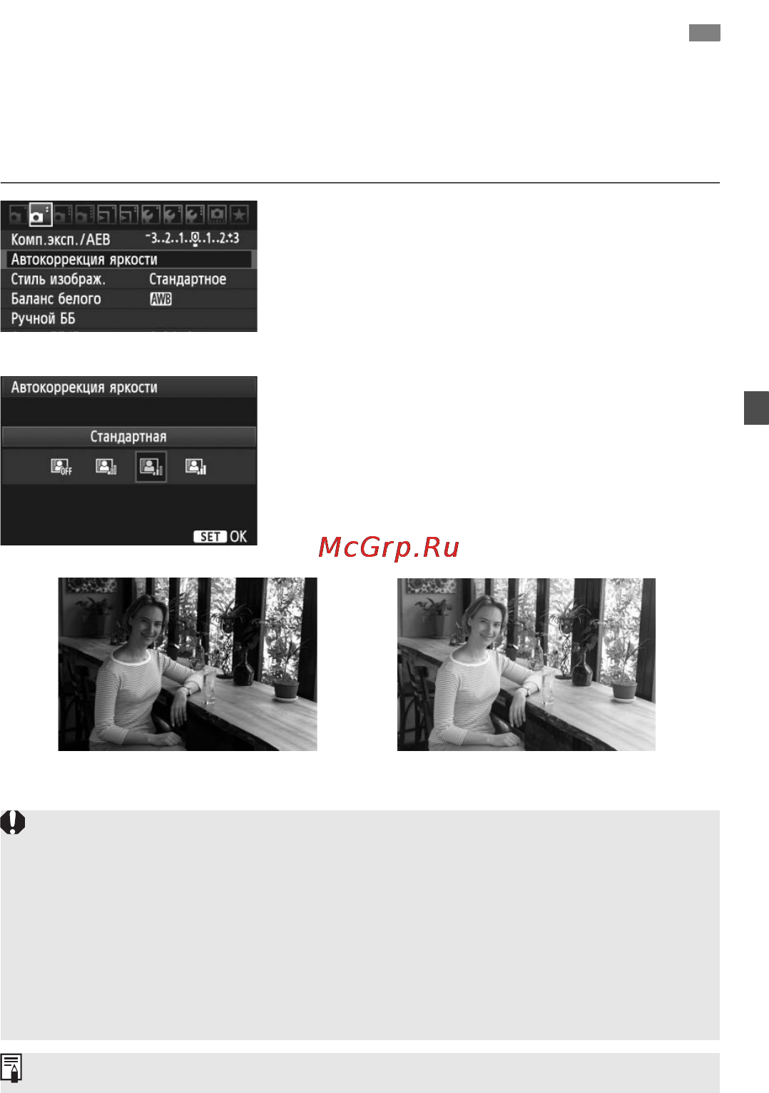 Canon EOS 60D EFS18-55 IS Kit [101/320] Auto lighting optimizer автокоррекция яркости